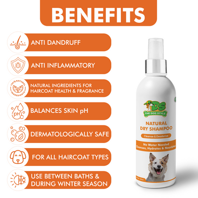 NATURAL DRY SHAMPOO (250ml)
