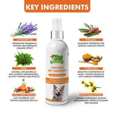 NATURAL DRY SHAMPOO (250ml)