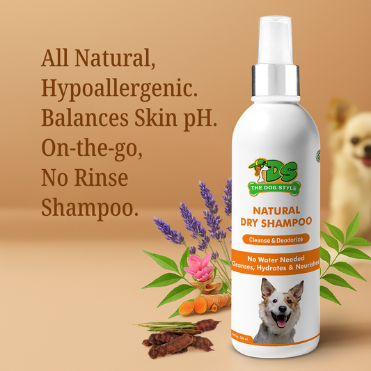 NATURAL DRY SHAMPOO (250ml)