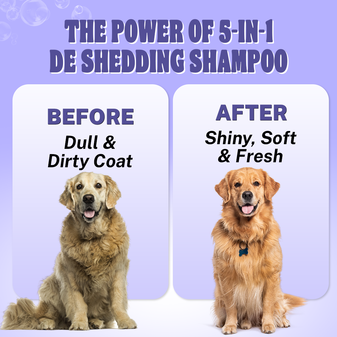 TDS Total Care Pack – Groom, Nourish & Protect Naturally