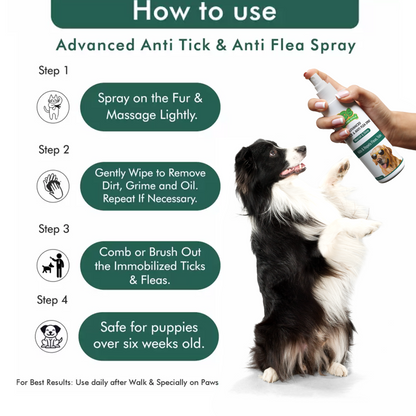 The Dog Style Advanced Anti-Tick & Flea Spray (250ml)